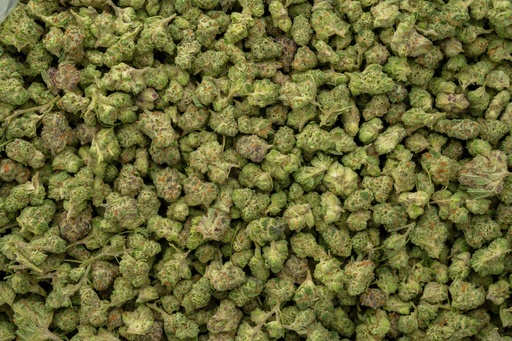 [BPFLTASPPU] Purple Punch Indoor Smalls