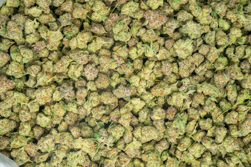 [BPFLTASPPU] Purple Punch Indoor Smalls