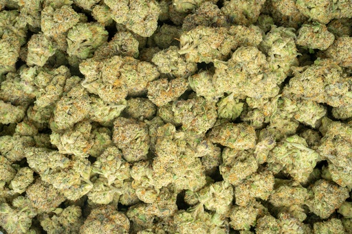 [BPFLTAIZOP] Zoap Indoor