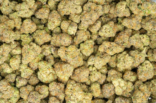 [BPFLTAIZOP] Zoap Indoor
