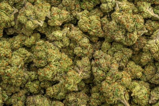 [BPFLTALTGL] Tuscan Gelato